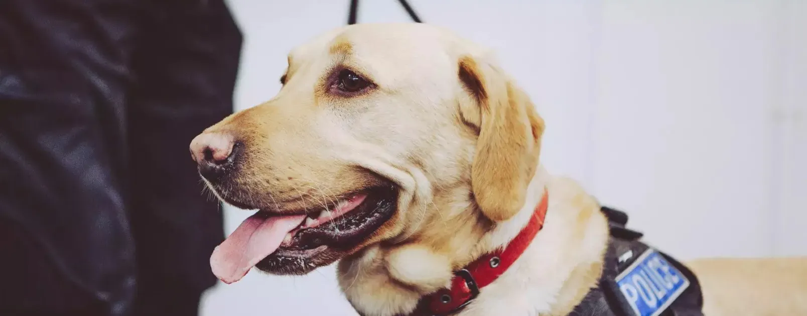 justice and policing hero