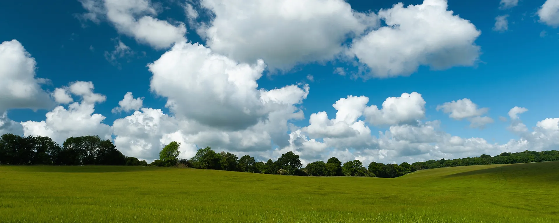 cloud field and blue sky background 1158406035